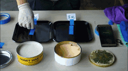 同一時(shí)間使用蜜蠟250的模具在差不多2秒后就掉落在桌面上<div   id=
