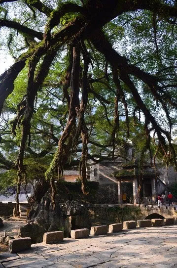 博皓游記 | 夏風(fēng)微醺的綺夢(mèng)<div   id=