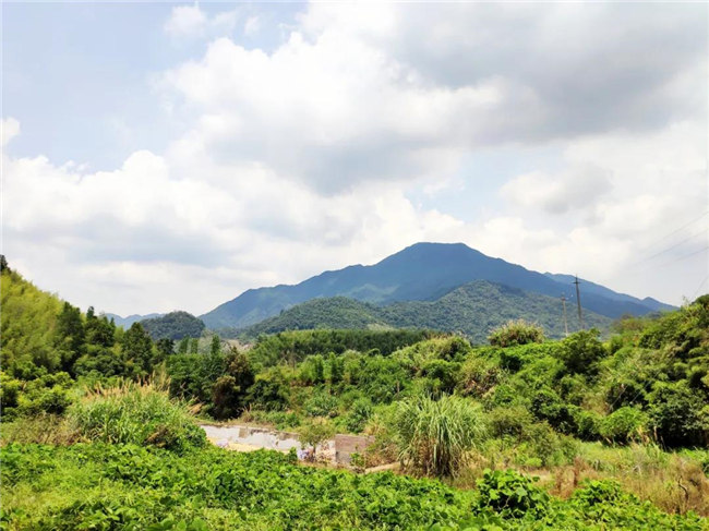 呼吸鮮氧<div   id=