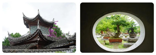 多彩貴州，魅力天下<div   id=