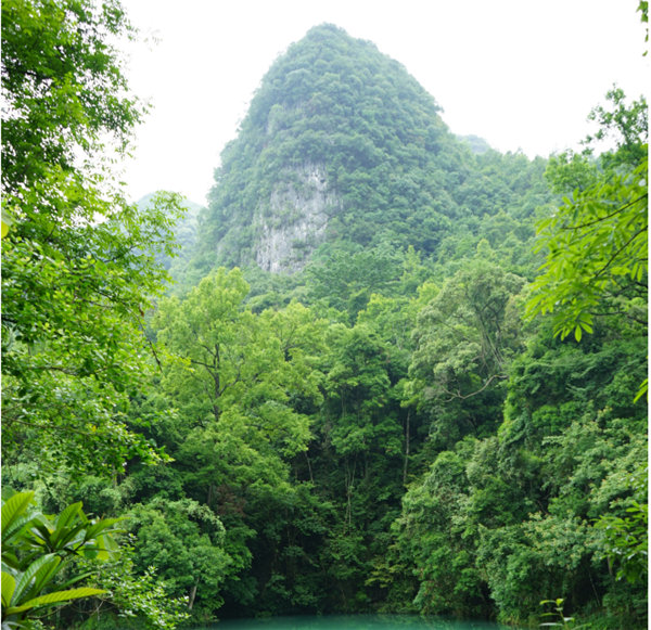 賞華夏大地<div   id=