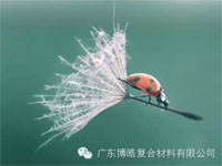【博皓感悟】成功<div   id=